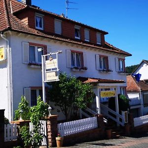 Hotel Irene Bad Konig Exterior photo