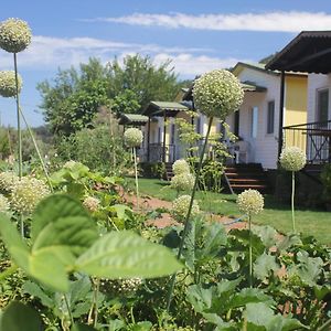 Guelsuem Hanim Evleri Bed & Breakfast Orhaniye  Exterior photo